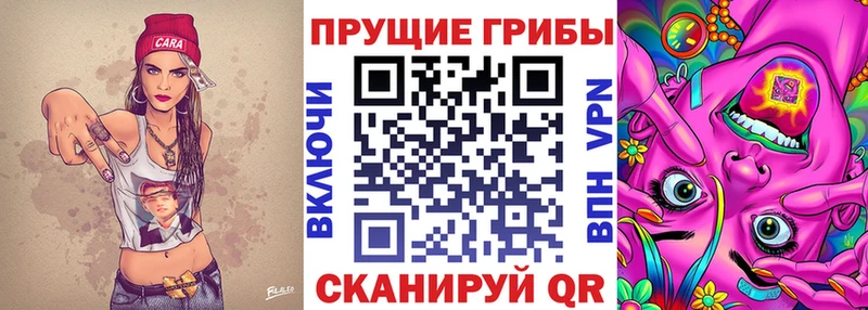 Галлюциногенные грибы MAGIC MUSHROOMS как найти Мышкин